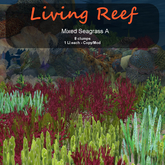 Inochi Reef : Algae "Mixed Seagrass A"