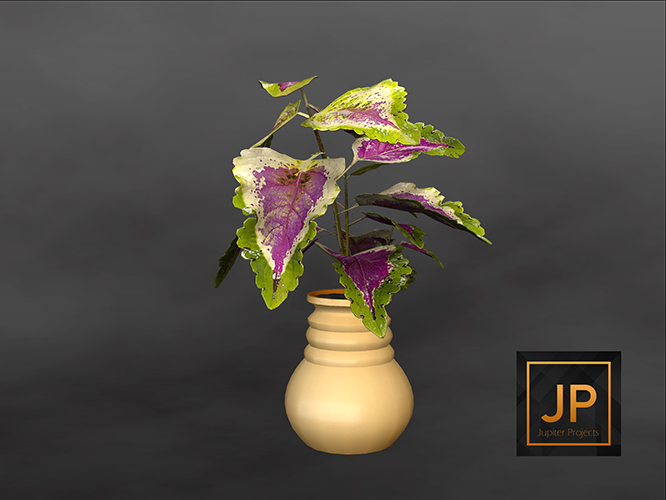 4MINIMAL - Plant Collection: Ceramics