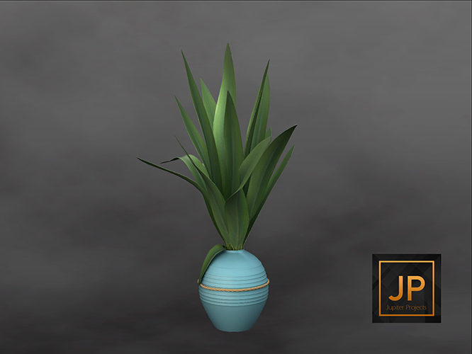 6MINIMAL - Plant Collection: Ceramics
