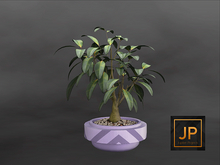 7MINIMAL - Plant Collection: Ceramics
