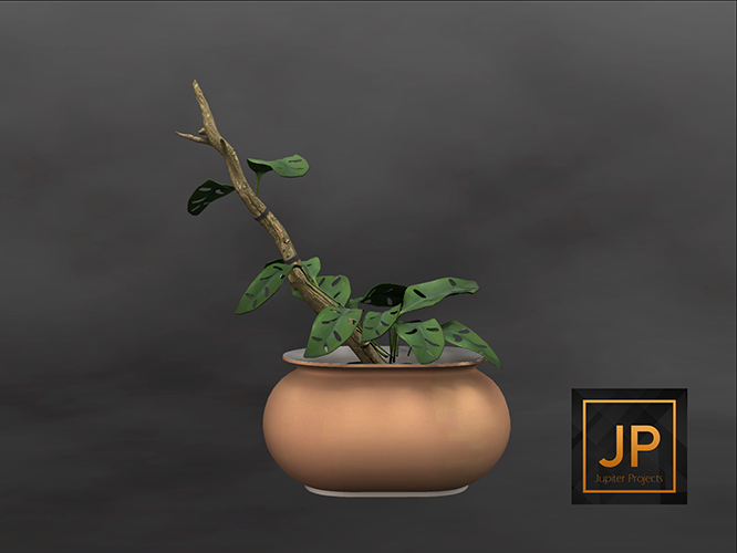8MINIMAL - Plant Collection: Ceramics