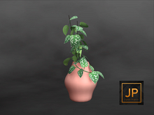 10MINIMAL - Plant Collection: Ceramics