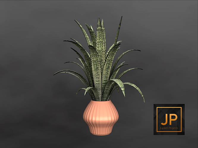 13MINIMAL - Plant Collection: Ceramics