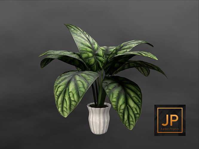 14MINIMAL - Plant Collection: Ceramics RARE