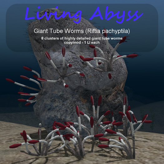 Inochi Abyss - Giant Tube Worms (Riftia pachyptila)
