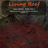 Inochi Reef - Brittle Star 2