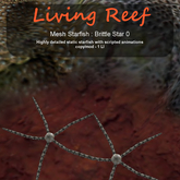 Inochi Reef - Brittle Star 0