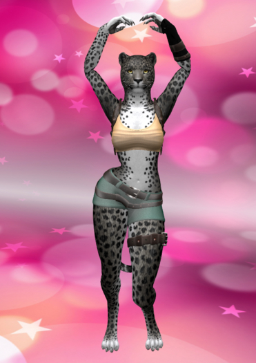 Belly Dance - For the Master