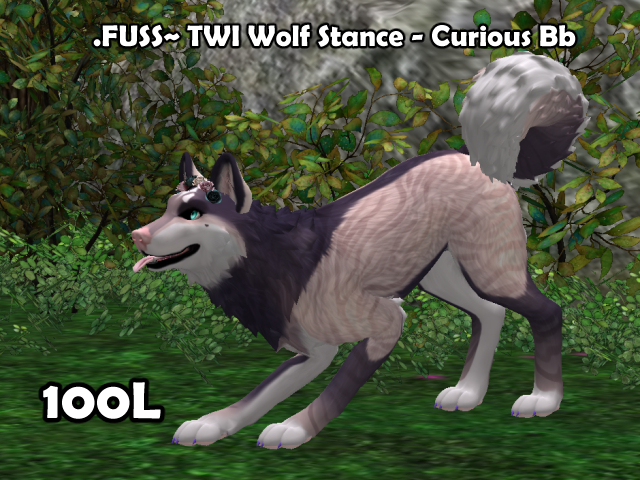 .FUSS~ Wolf Stance - Curious bb