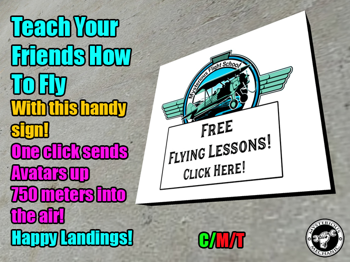 Free Flying Lessons Sign -2022 *click*