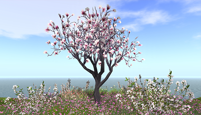 Jad Garden - Magnolia tree garden patch