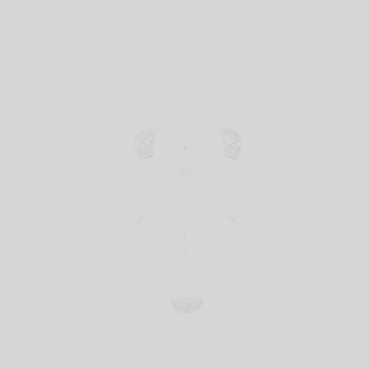 Raibe - Skull Bikini (white)