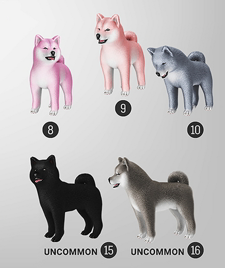 SEmotion Libellune Shiba Inu Companion UNCOMMON 16
