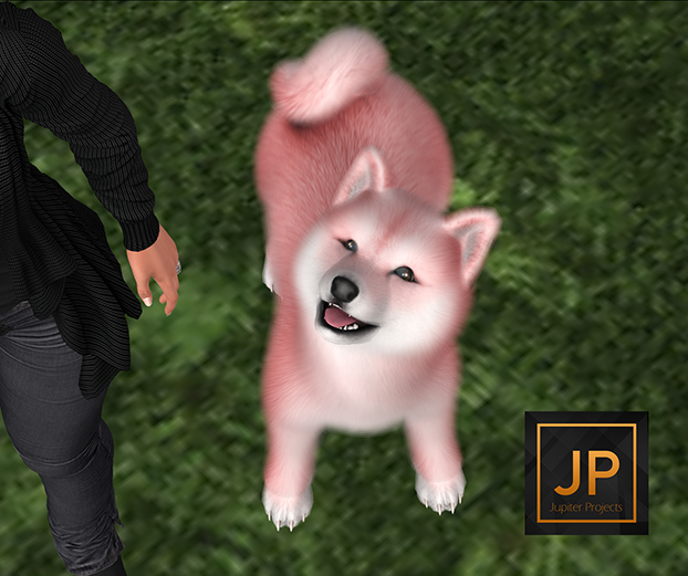 SEmotion Libellune Shiba Inu Companion COMMON 09