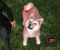 SEmotion Libellune Shiba Inu Companion COMMON 09