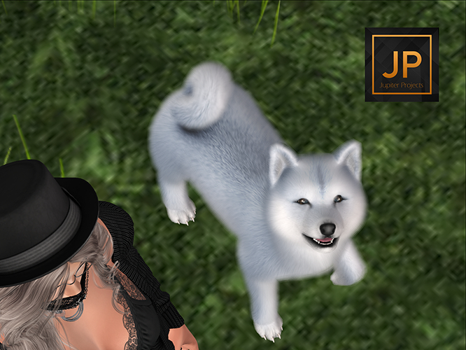 SEmotion Libellune Shiba Inu Companion COMMON 05