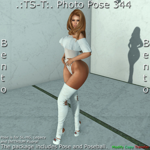 .:TS-T:. Photo Pose 344 Bento