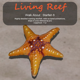 Inochi Reef - WA - Starfish 6