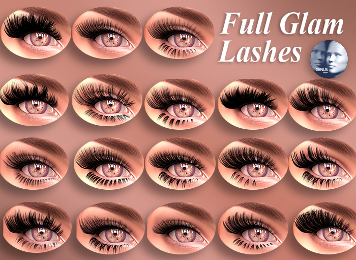 Full Glam Lashes