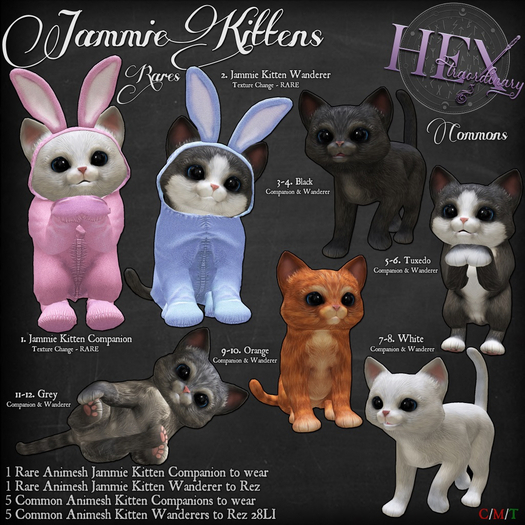 2. HEXtraordinary - Jammie Kitten - Wanderer - RARE