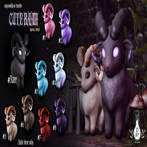 !13ACT - Cute Baaah  #6