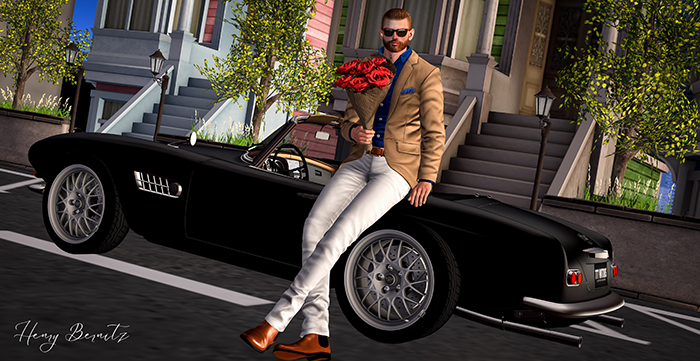 [Bernitz's Poses] - Gentleman
