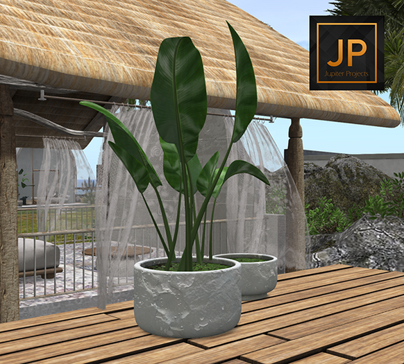 04. *CONCEPT} MAURITIUS PLATANNER