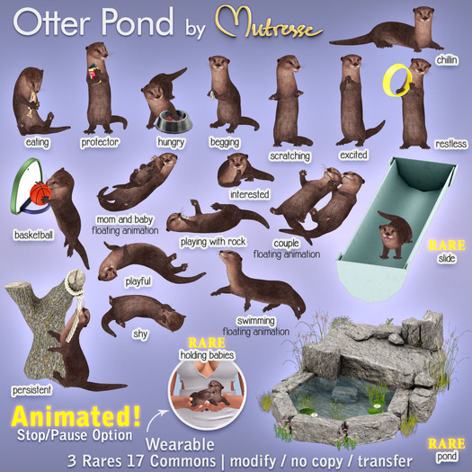 20-Mutresse-Pond-Otter Pond RARE