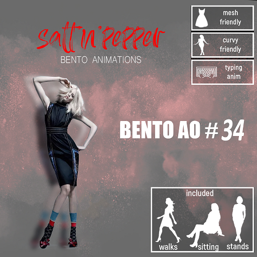 s'n'p - bento AO #34(packed)