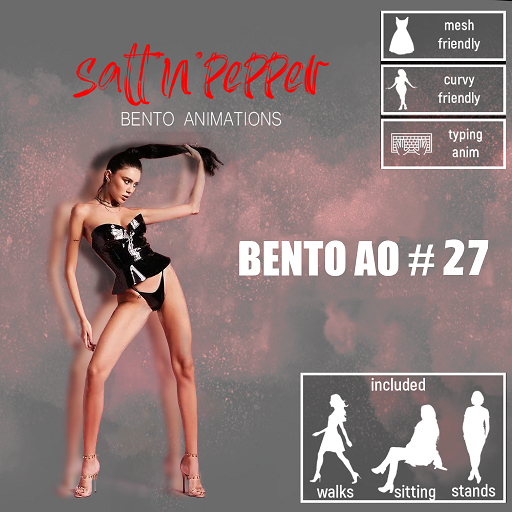 s'n'p - bento AO #27(packed)