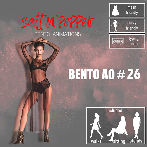 s'n'p - bento AO #26(packed)