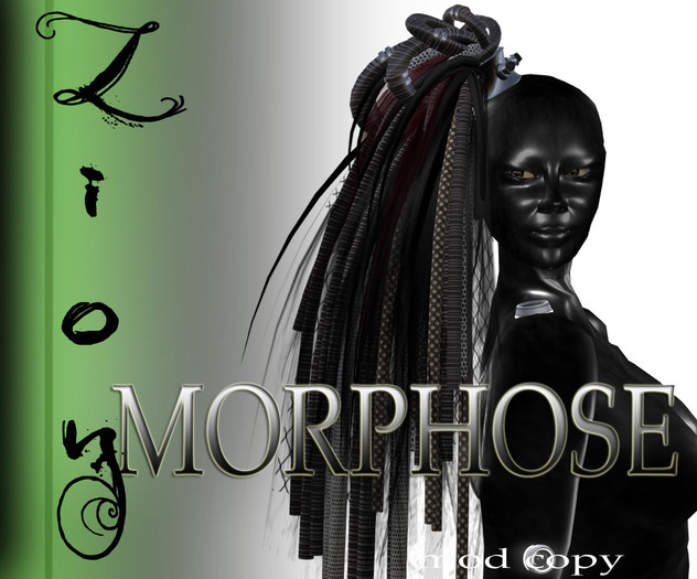 _ZION_MORPHOSE DEMO X