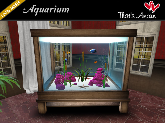 Aquarium - That's Amore