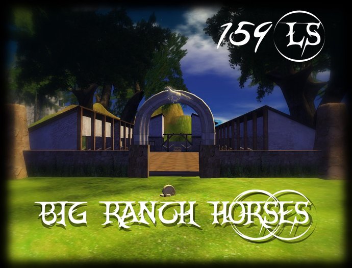 PROMO BIG RANCH HORSES