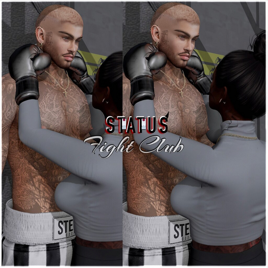 STATUS ~ Fight Club