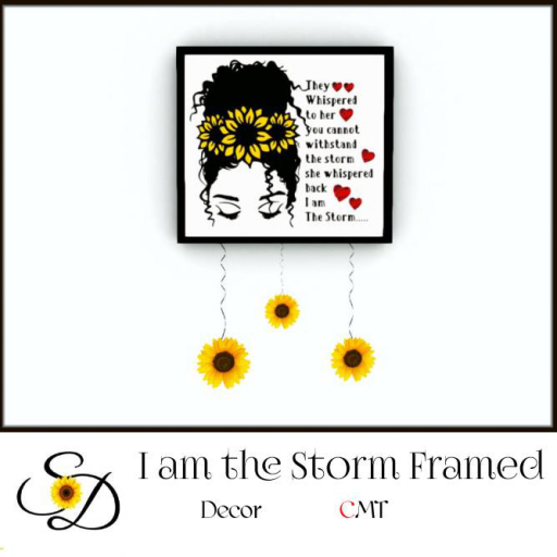 **SD~ I Am The Storm Framed
