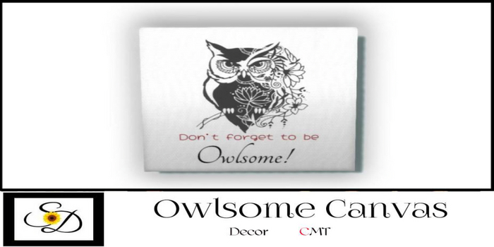 **SD~ Owlsome! Canvas