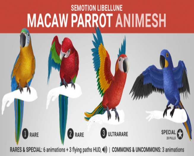 SEmotion Libellune Macaw Parrot Animesh #2 RARE