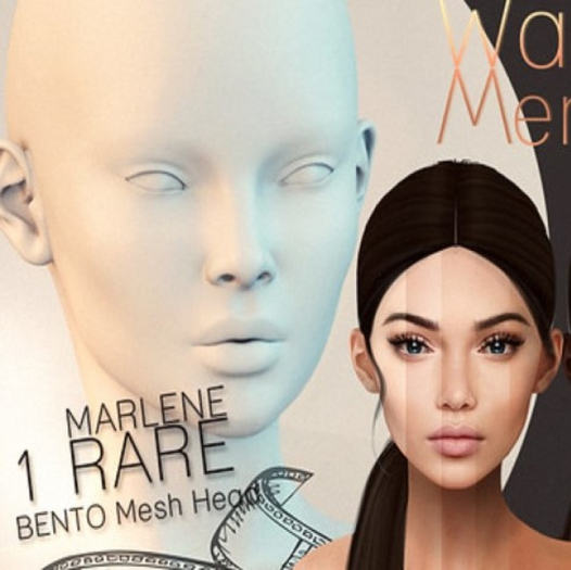 01 Genesis_Head_MARLENE Bento RARE