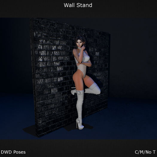 DWD Poses - Wall Stand
