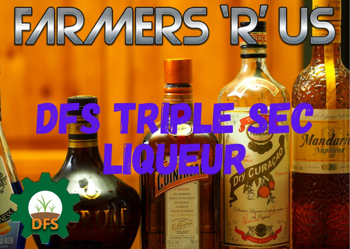DFS DS Triple Sec Liqueur