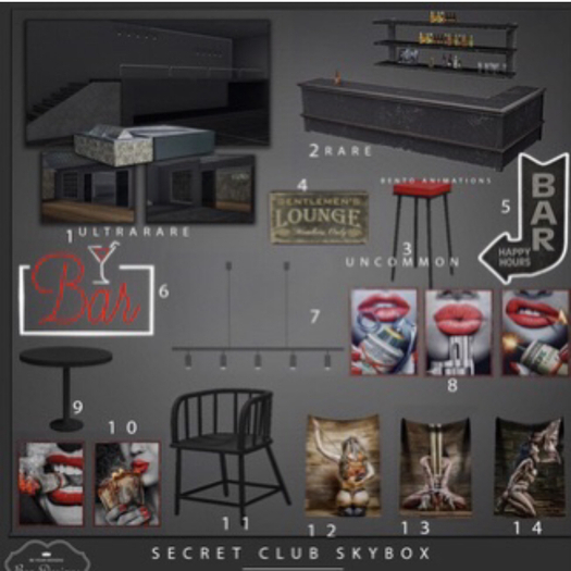 Bee Designs Secret Club Skybox 2 RARE