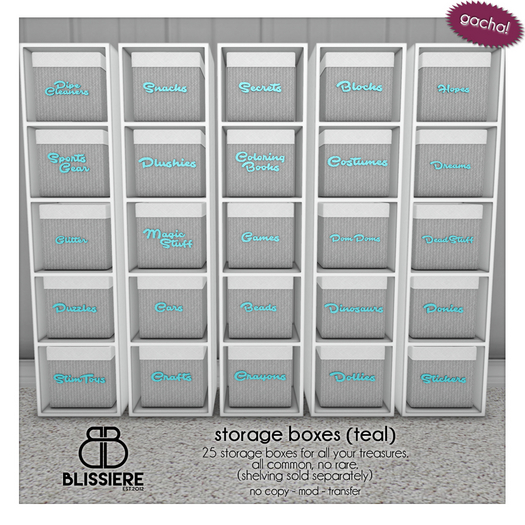 [blissiere] storage boxes (teal)