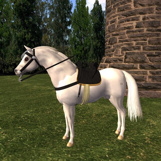 Medieval knight: Saddle without barding black (akk09 horses)