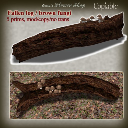 fallen log / brown fungi (c)