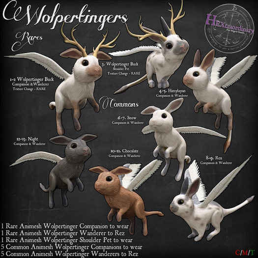 8. *HEXtraordinary*  Wolpertinger Companion - Rex