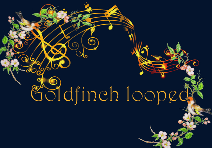 Bunny's Sounds-GoldFinch Full Perm sounds