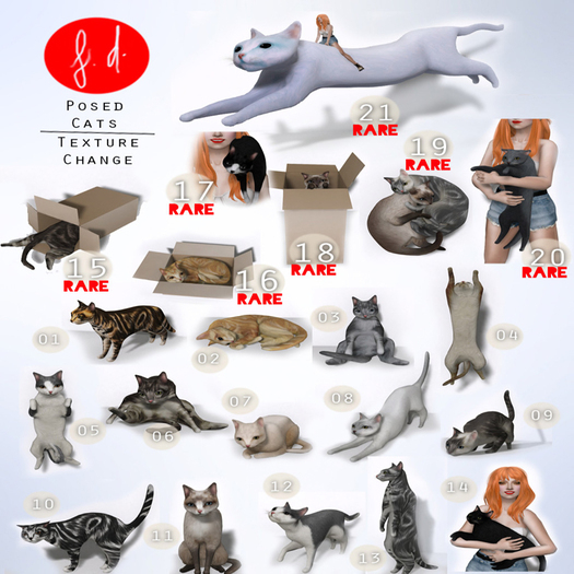 (fd) Cat - 14 Held (Happy)