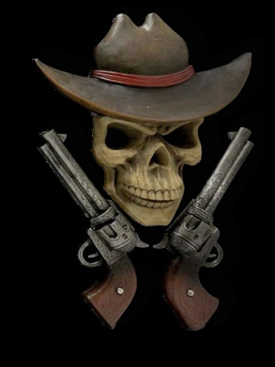 Bone Head Cowboy 1