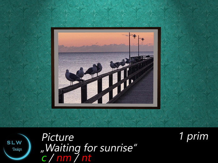 SLW Design - Waiting for sunrise
